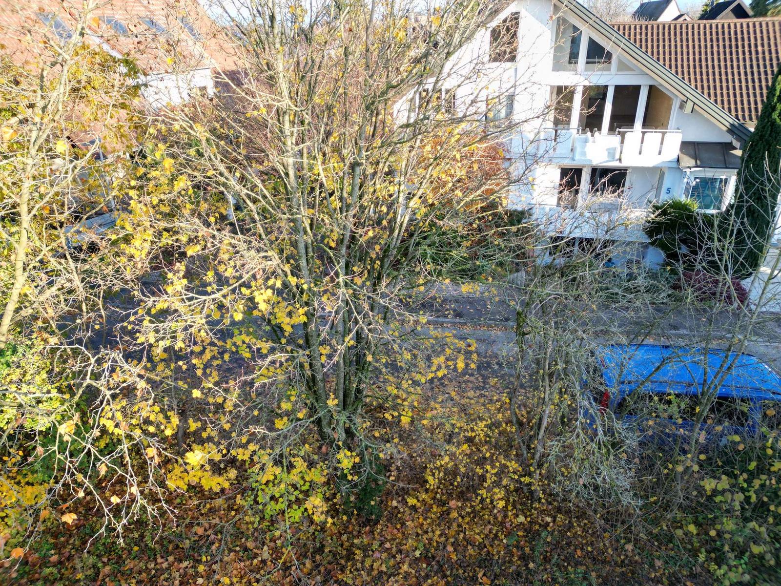 Foto 3: Großes Baugrundstück in Hochstetten, 911 m² Freiheit