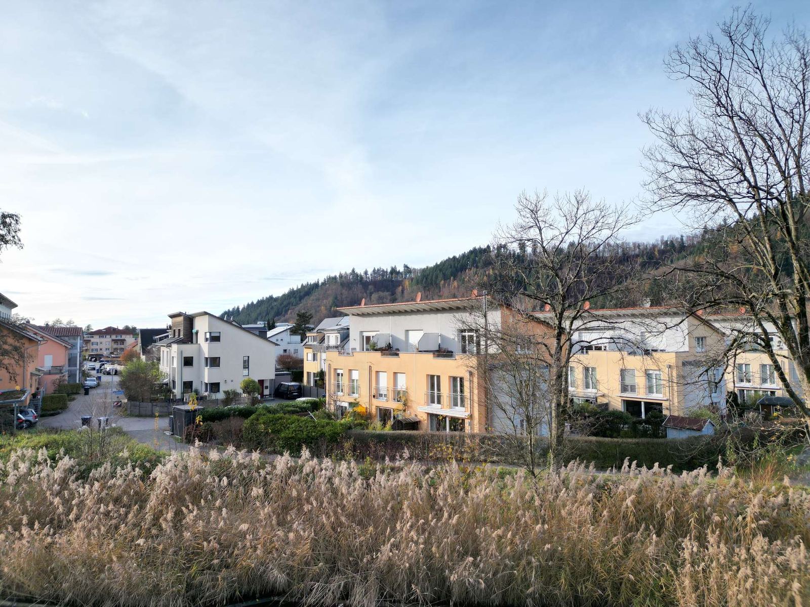 Haus in 79183 Waldkirch: Reihenendhaus am Park und See: Familienidylle mit Einliegerwohnung und Traumlage