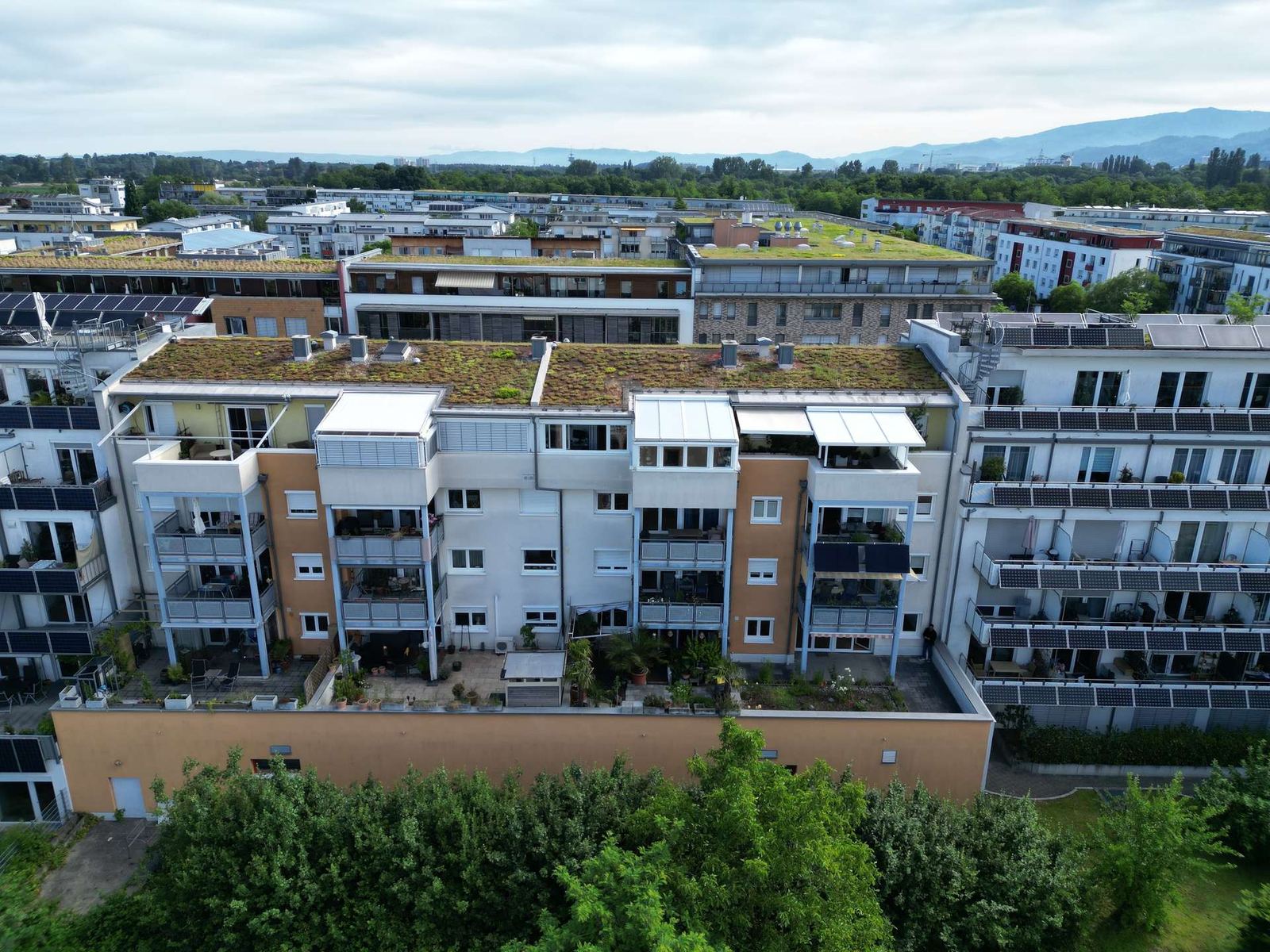 Foto 7: Rieselfeld: Barrierefrei, Sofortbezug 53 m²-Terrasse!