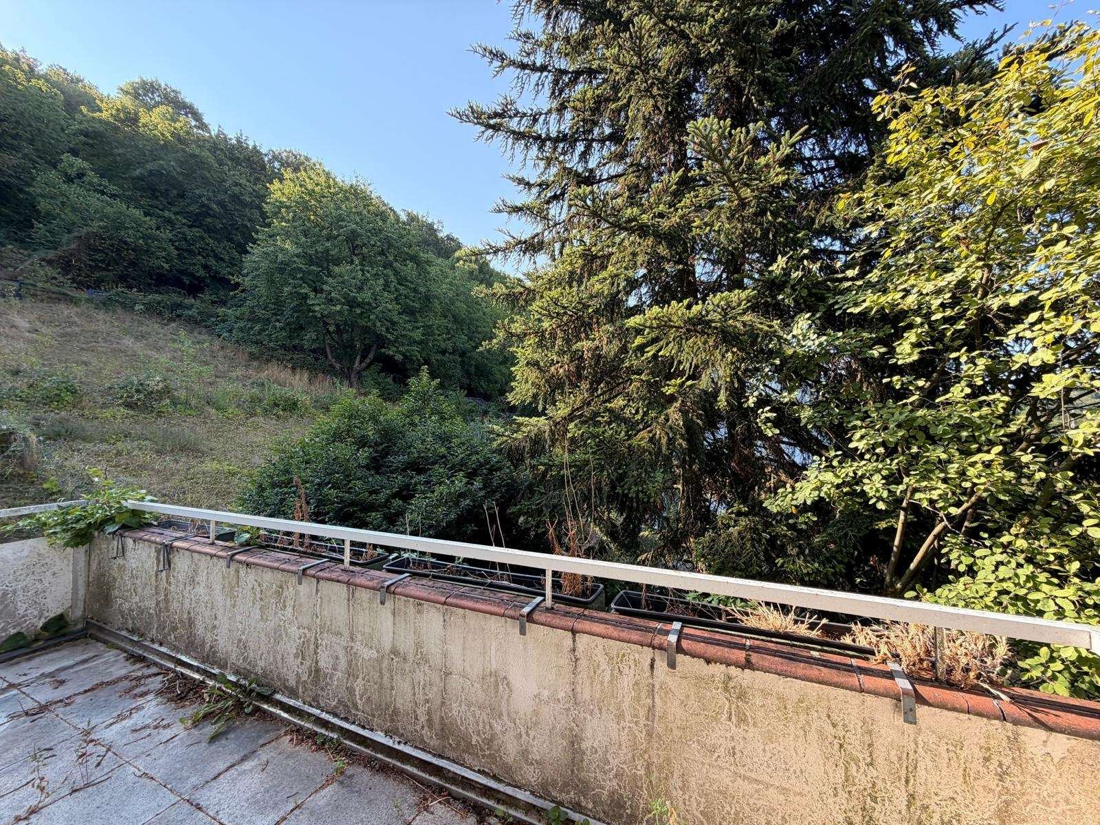 Foto 15: Merzhausen bezugsfrei: DG-Wohnung mit 293 m² Privatgarten, F
