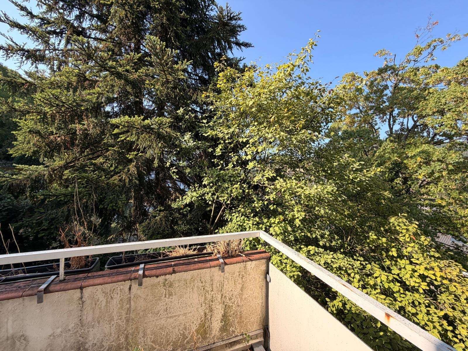 Foto 16: Merzhausen bezugsfrei: DG-Wohnung mit 293 m² Privatgarten, F