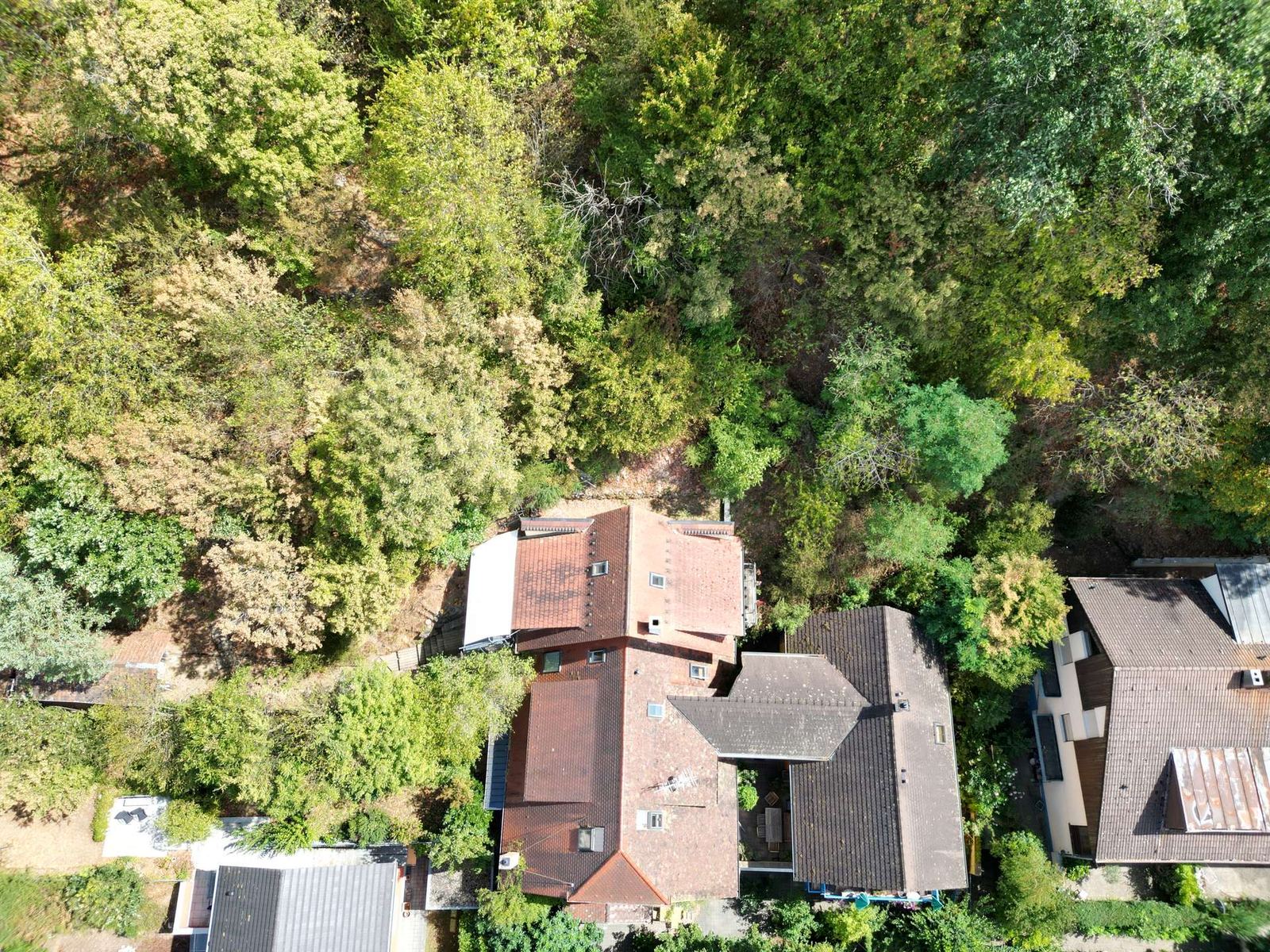 Foto 2: Außergewöhnlich wohnen am Felsenkeller, individuell, autark